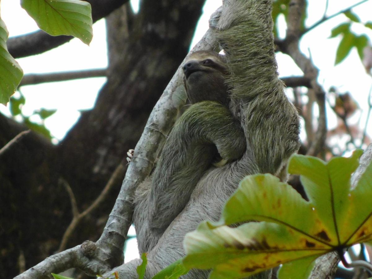 Guayabo Lodge Santa Cruz  Eksteriør bilde