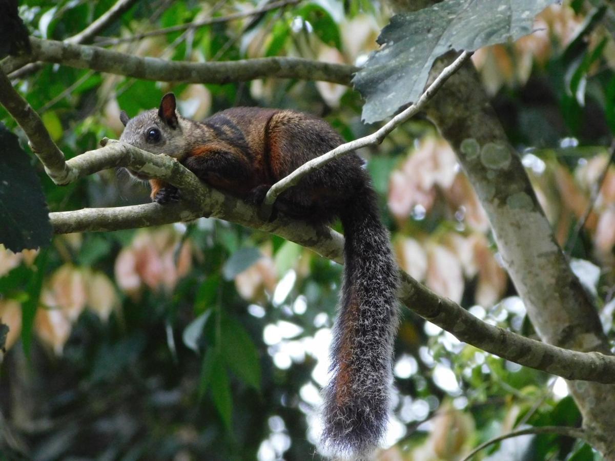Guayabo Lodge Santa Cruz  Eksteriør bilde