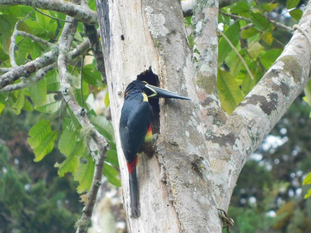 Guayabo Lodge Santa Cruz  Eksteriør bilde